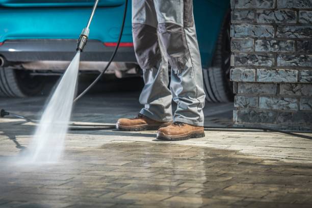 Best Sidewalk and Walkway Cleaning  in Palmetto Estates, FL