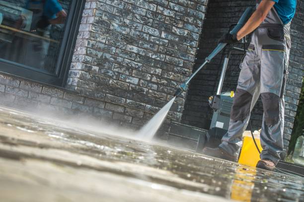 Best Rust Removal  in Palmetto Estates, FL