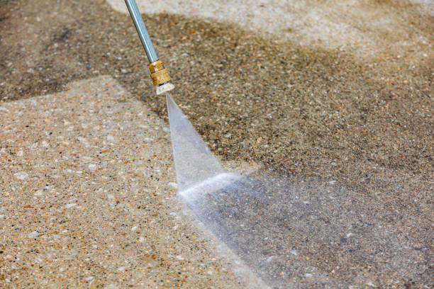 Trusted Palmetto Estates, FL Pressure Washing Services Experts