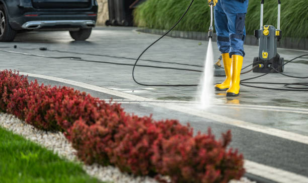 Best Building Exterior Washing  in Palmetto Estates, FL